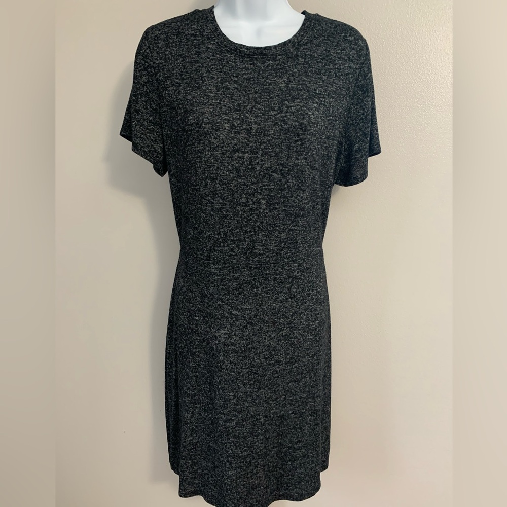 Express Skater Dress